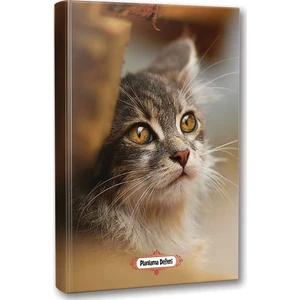 Halk Kitabevi Minik Kedi Planlama Defteri 13.5 x 19.5 cm