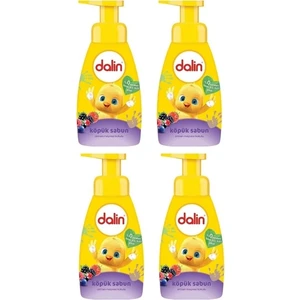 Köpük Sabun Orman Meyveleri 200 ml (4'lü)