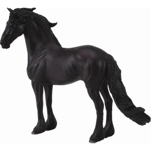 Friesian Atı