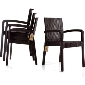 Rattan Sandalye 4 Kişilik Kollu Koltuk Bahçe Balkon Teras Sandalyesi
