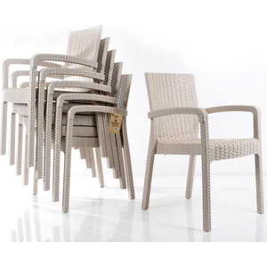 Rattan Sandalye Takımı 6 Kişilik Bahçe Balkon Teras Sandalyesi