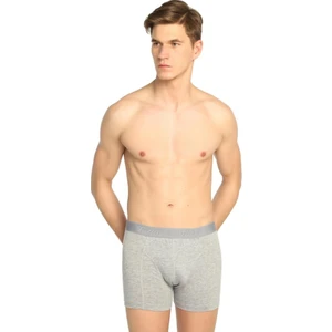 6 Adet Gri Renk Likralı Boxer