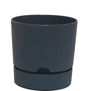 Begonya 15 cm Antrasit Tabaklı Saksı