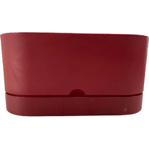 Begonya 30 cm Bordo Tabaklı Balkon Saksı