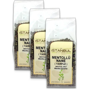 Istanbul Baharat Mentollü Nane (Yarpuz) 40X3 gr