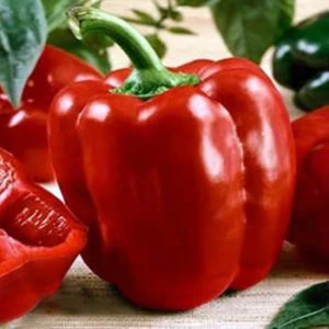 Oxe Garden Salçalık Maraş Dolmabiber Tohumu 50 'li Ev ve Bahçe İçin