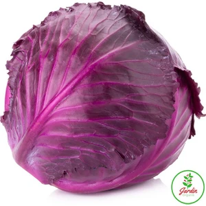 Oxe Garden Kırmızı Lahana Tohumu 50 'li Doğal Tohum Yerli Bahçe İçin