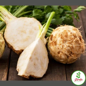 Oxe Garden Kereviz Celery Tohumu 100 'li Akbaş Doğal Tohum Bahçe İçin