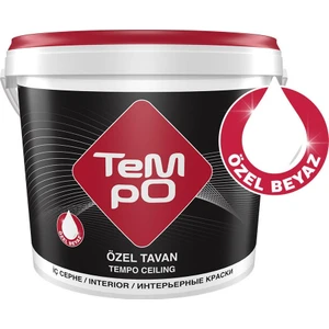 Filli Boya Tempo Özel Tavan 17,5 kg