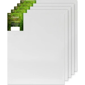 Tuval Resim Tuvali Ahşap Çerçeve 25 x 35 cm 5'li