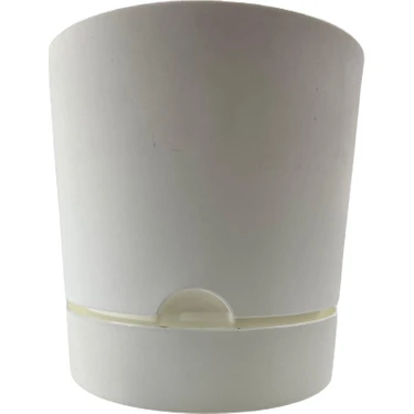 Poliwork Begonya 15 cm Beyaz Tabaklı
