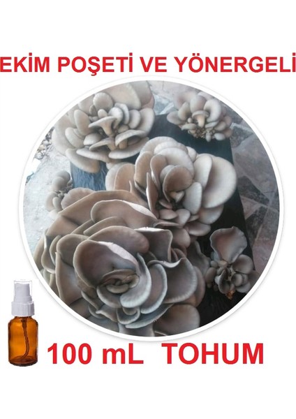 100 ml Istiridye Kavak Kayın Mantarı Tohumu + Ekim Poşeti + Yönerge fiyatları