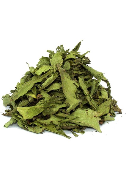 3 'lü Istanbul Baharat Stevia Yaprağı (Şeker Otu) 20 gr