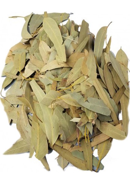 6 'lı Istanbul Baharat Okaliptüs Yaprağı 50 gr