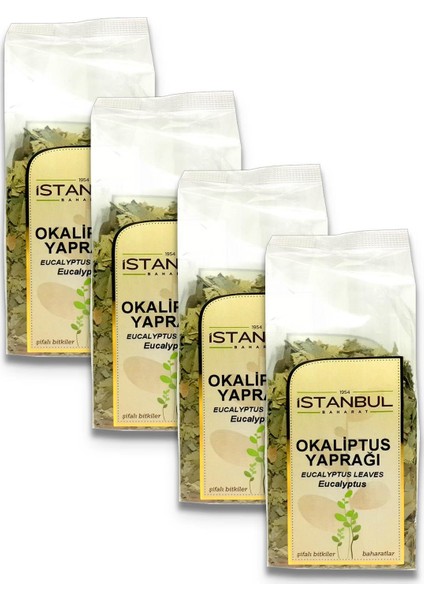 4 'lü Istanbul Baharat Okaliptüs Yaprağı 50 gr