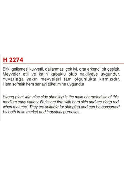 Agro Tohum Ata Tohumu Yerli Iri Domates 1 gr 300 Adet Tohum fiyatları