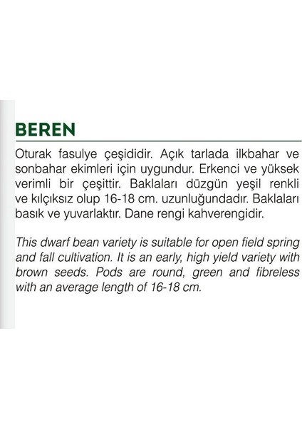 Agro Tohum Ata Tohumu Yerli Oturak Yeşil Fasulye 5 gr Yaklaşık 20 Tohum