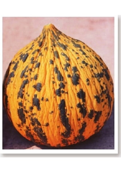 Agro Tohum Ata Tohumu Yerli Kavun Kırkağaç 1 gr 30 Adet Tohum