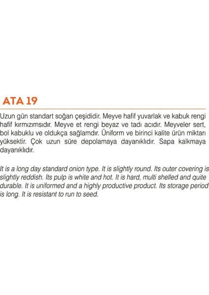 Agro Tohum Yerli Doğal Mor Soğan Ata 10 gr fiyatları