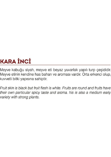 Agro Tohum Yerli Doğal Siyah Turp Tohumu 1 gr 100 Adet Tohum fiyatları