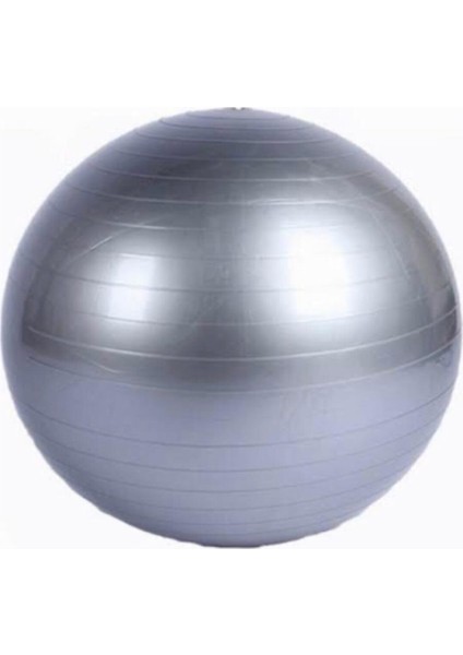 Gri Pilates Topu 55 cm