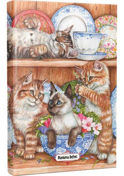 Evin Kedileri Planlama Defteri 13.5 x 19.5 cm