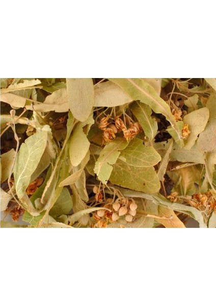 Ihlamur 100 gr fiyatları