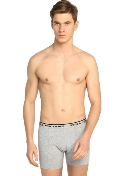 3 Adet Seher Yıldızı Gri Renk Elastan Boxer