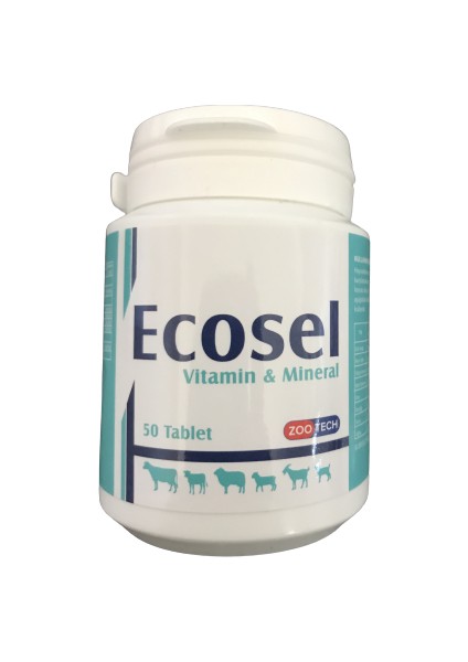 Ecosel Vitamin Mineral Sığır Buzağı Koyun Keçi Kuzu ve Oğlak