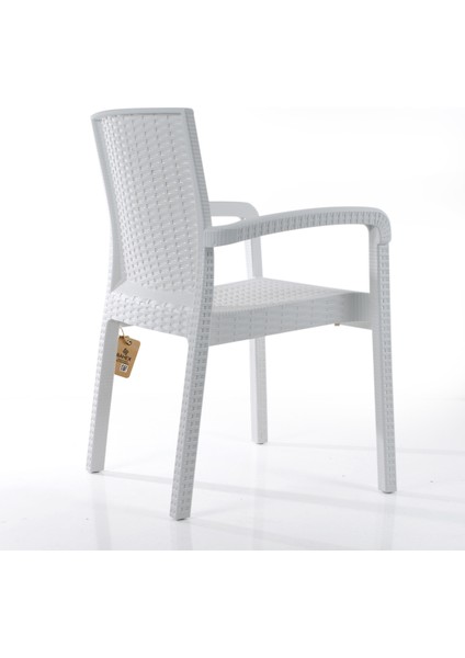 Rattan Sandalye 4 Kişilik Kollu Koltuk Bahçe Balkon Teras Sandalyesi Beyaz modelleri