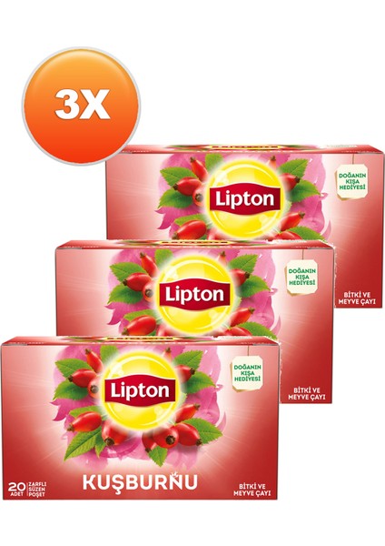 Kuşburnu Bardak Poşet Meyve Çayı 20 x 2,5 Gr. Üçlü Set