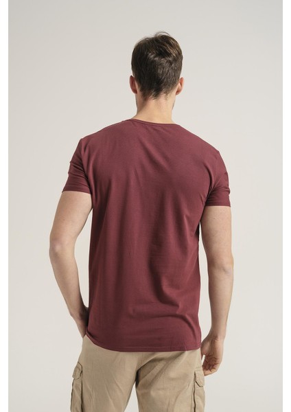 Riley V Yaka Slim Fit Basic Erkek Tshirt