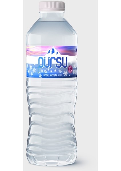 Pet Şişe 500 ml x 12'li