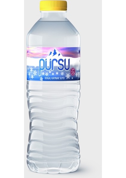 Pet Şişe 500 ml x 12'li