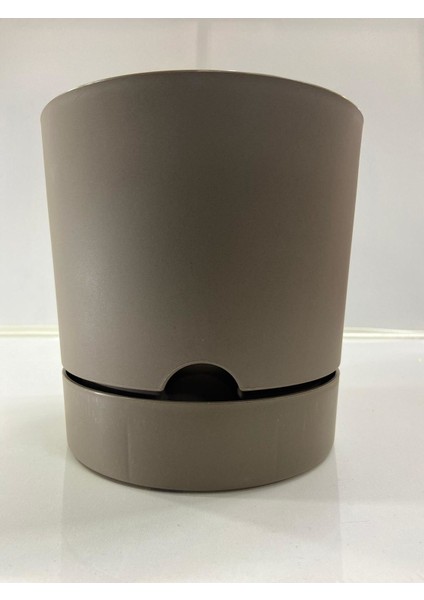 Begonya 18 cm Sütlü Kahve Tabaklı Saksı