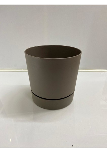 Begonya 18 cm Sütlü Kahve Tabaklı Saksı