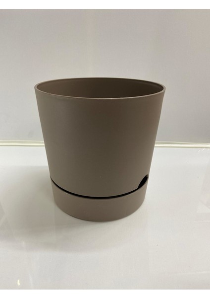 Begonya 21 cm Sütlü Kahve Tabaklı Saksı