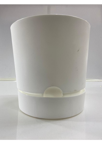 Begonya 18 cm Beyaz Tabaklı Saksı