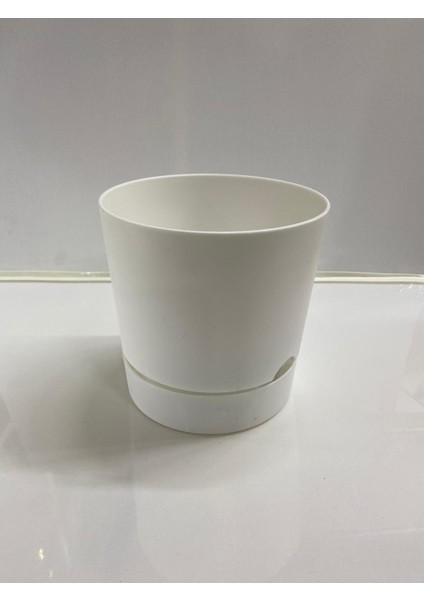 Begonya 18 cm Beyaz Tabaklı Saksı