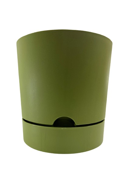 Begonya 15 cm Yeşil Tabaklı Saksı