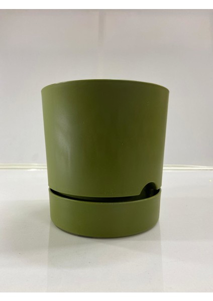 Begonya 15 cm Yeşil Tabaklı Saksı fiyatları