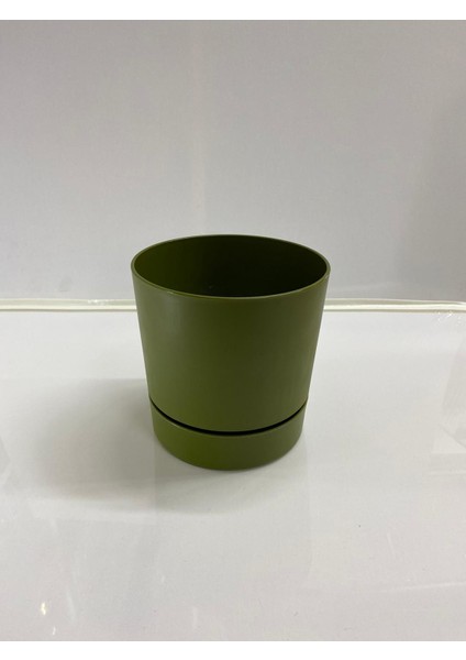 Begonya 15 cm Yeşil Tabaklı Saksı modelleri