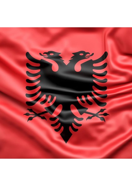 Arnavutluk Gönder Bayrağı Raşel Kumaş 80 x 120 cm fiyatları
