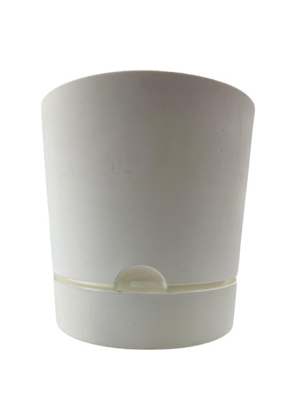 Begonya 21 cm Beyaz Tabaklı Saksı