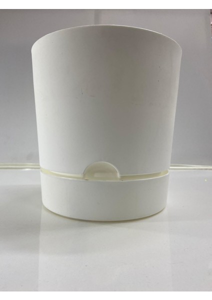 Begonya 21 cm Beyaz Tabaklı Saksı