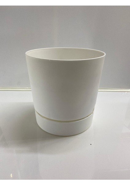 Begonya 21 cm Beyaz Tabaklı Saksı