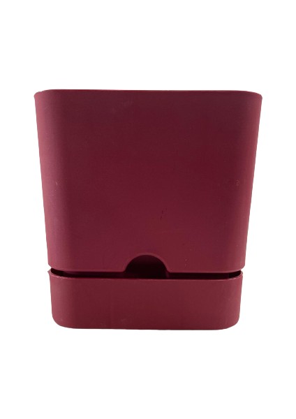 Begonya 16 cm Bordo Kare Tabaklı Saksı