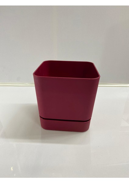 Begonya 16 cm Bordo Kare Tabaklı Saksı