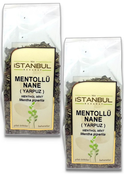 Istanbul Baharat Mentollü Nane (Yarpuz) 40X2 gr