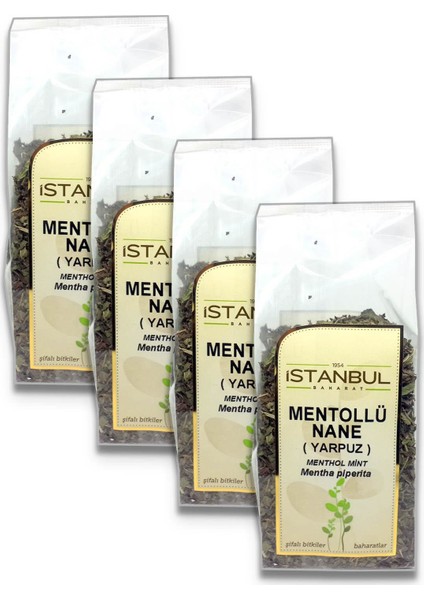 Istanbul Baharat Mentollü Nane (Yarpuz) 40X4 gr